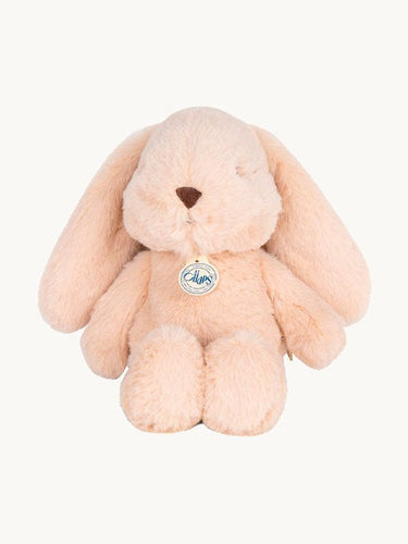 Bubbles the Bunny
