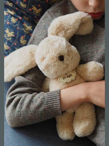 Bubbles the Bunny