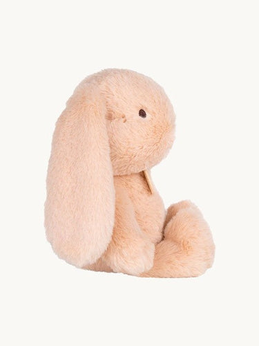 Bubbles the Bunny