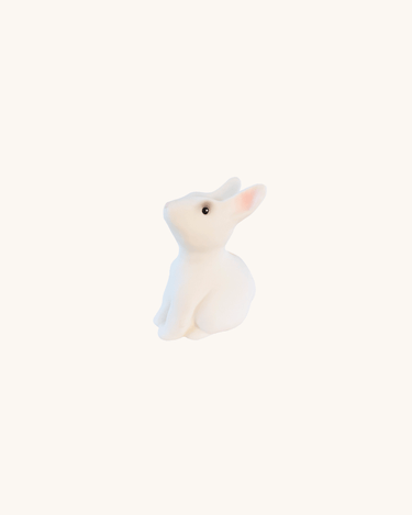 Bunny Piggy Bank
