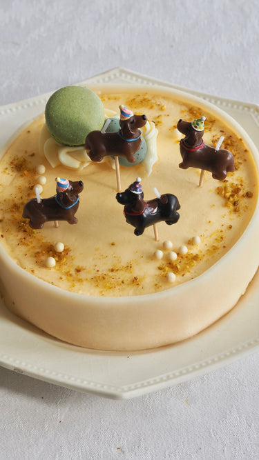 Cake Candles Dachshund