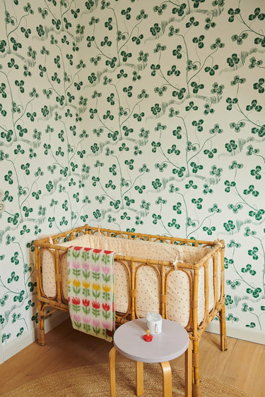 Colour Pacifier Candy Apple