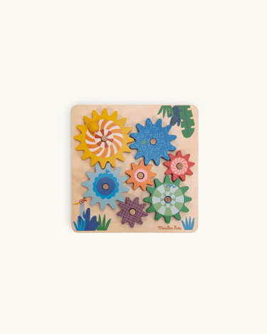 Activity Set with Gears