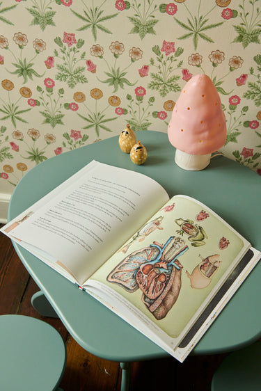 Din Fantastiske Krop - fra urtidsfisk til nutidsmenneske