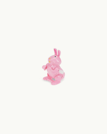 Wind-up Jumping Animal Toy Bunny