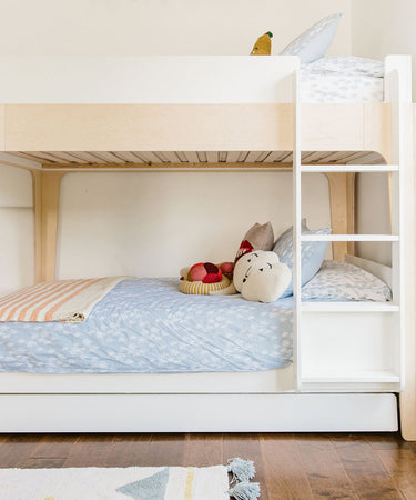 Perch Trundle Bed & Vertical Ladder